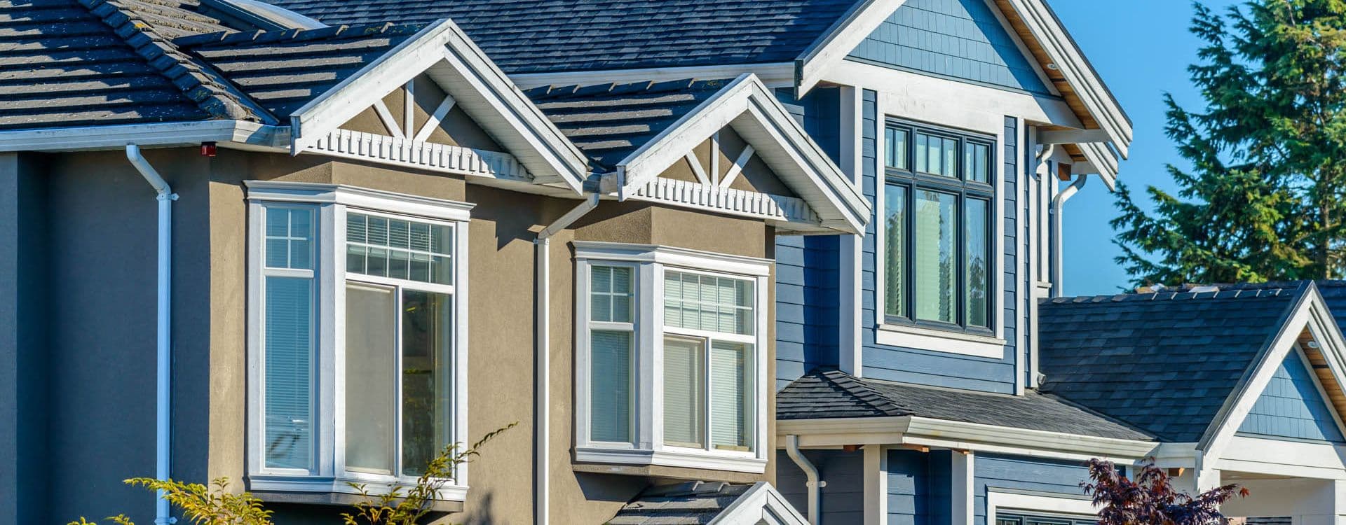 Bay and Bow Windows