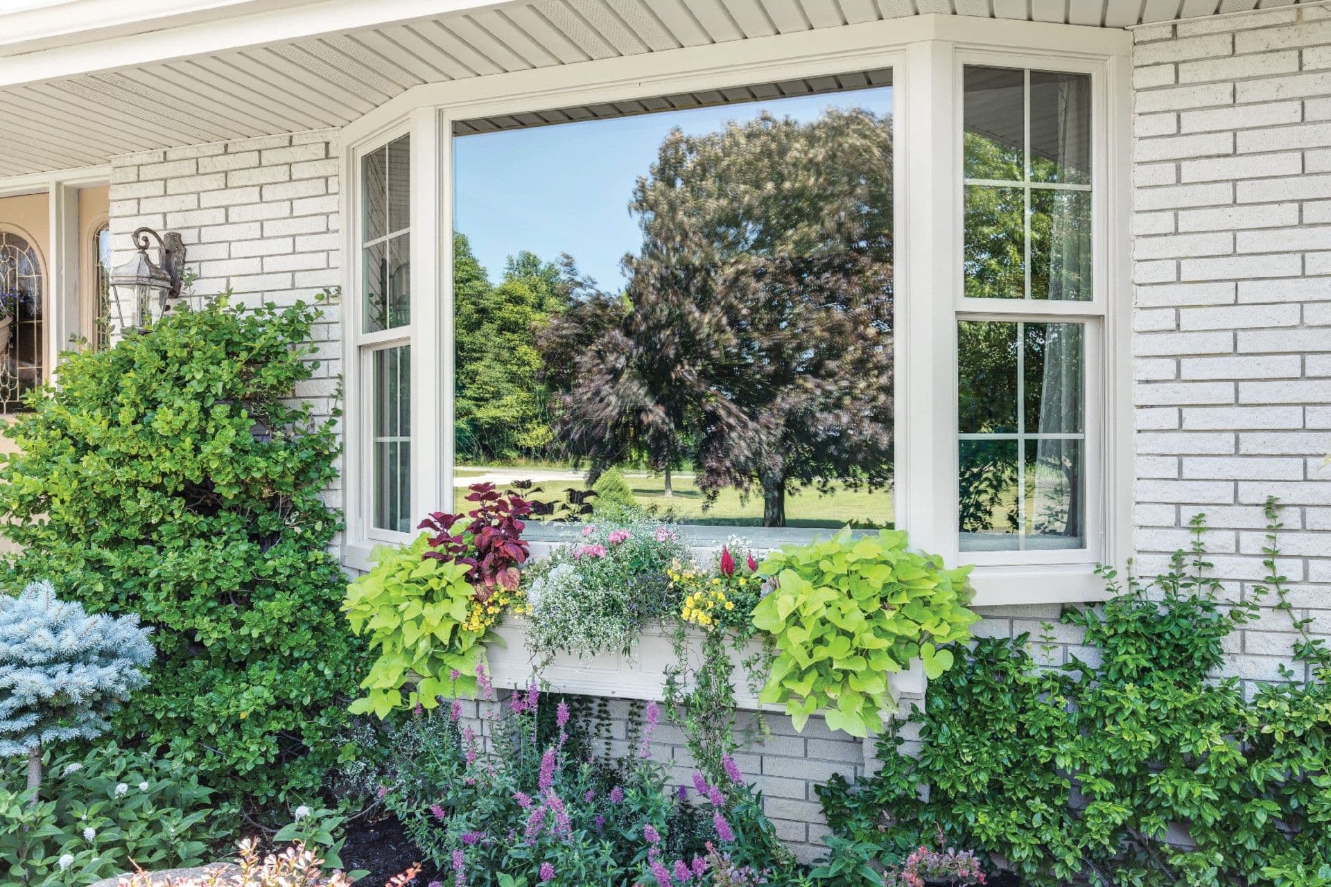 Bay and Bow Windows