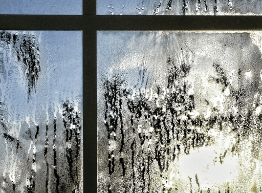 Window-Replacement-8.png